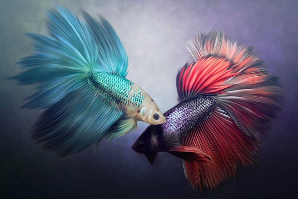 Pisces